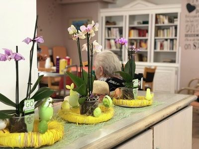 EHPAD Les Amandines - Photo 5 sur 5 - Environnement et extérieurs