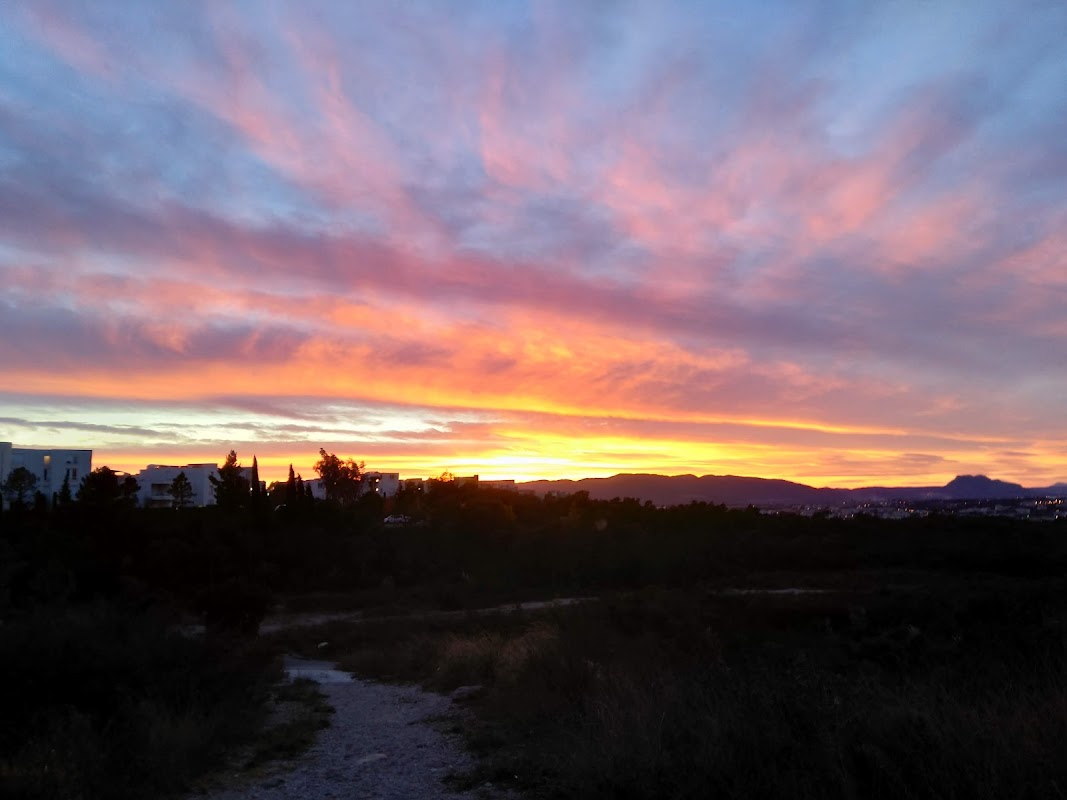 Résidence Hermès - Photo 5 sur 5 - Environnement et extérieurs