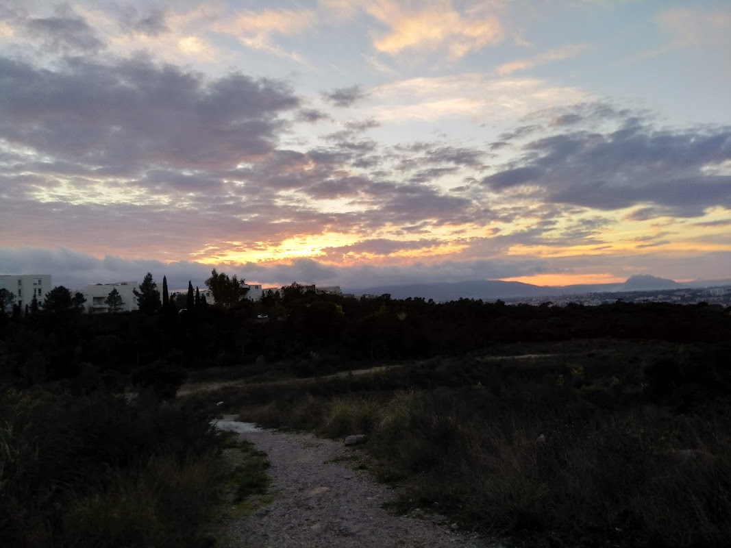 Résidence Hermès - Photo 4 sur 5 - Espaces de vie