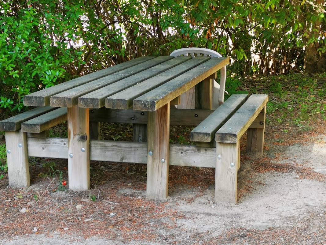 EHPAD Centre Roseraie Sainte-Odile - Photo 4 sur 5 - Espaces de vie