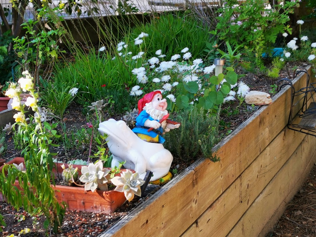 EHPAD Centre Roseraie Sainte-Odile - Photo 2 sur 5 - Intérieur et espaces communs