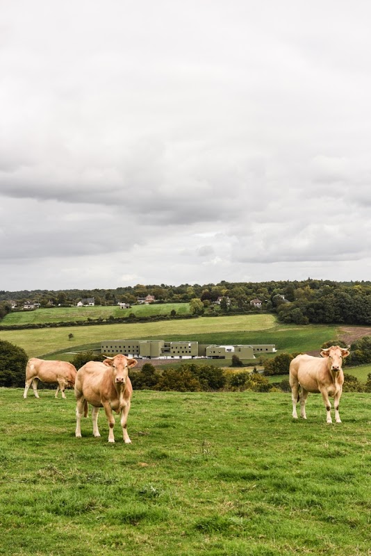 EPMS du Marie Merle - Photo 5 sur 5 - Environnement et extérieurs