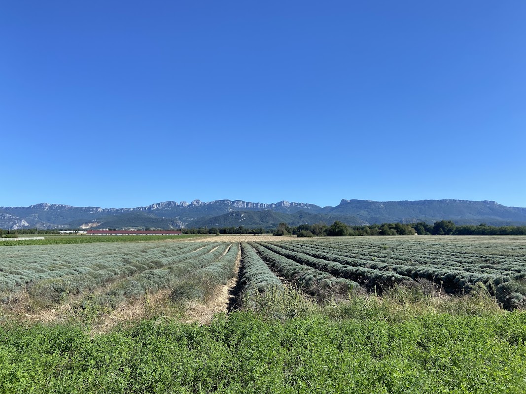 EHPAD Les Monts du Matin - Photo 4 sur 5 - Espaces de vie