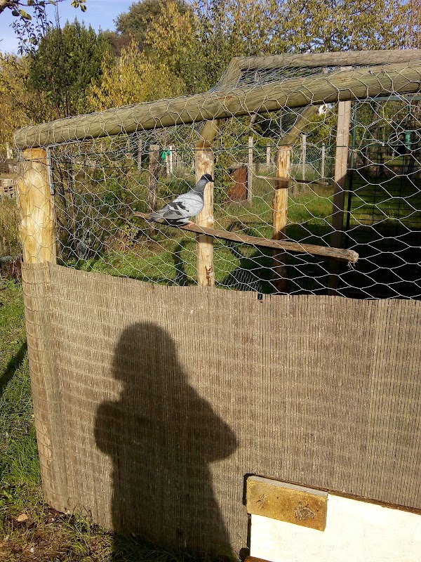 Photo de EHPAD Marie de la Ferre, EHPAD à LA FLECHE