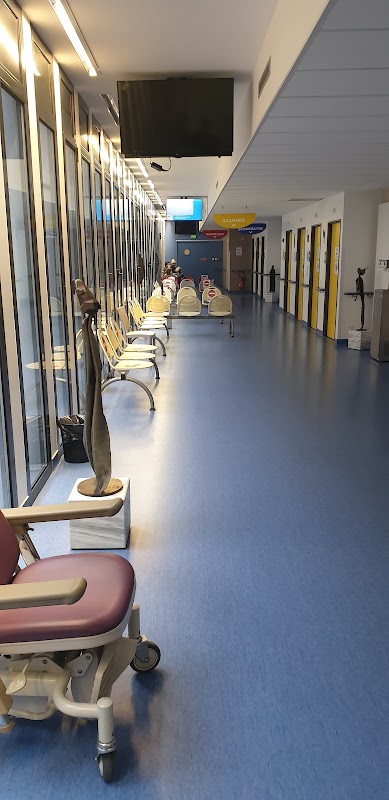 USLD Du Centre hospitalier Luneville - Photo 5 sur 5 - Environnement et extérieurs