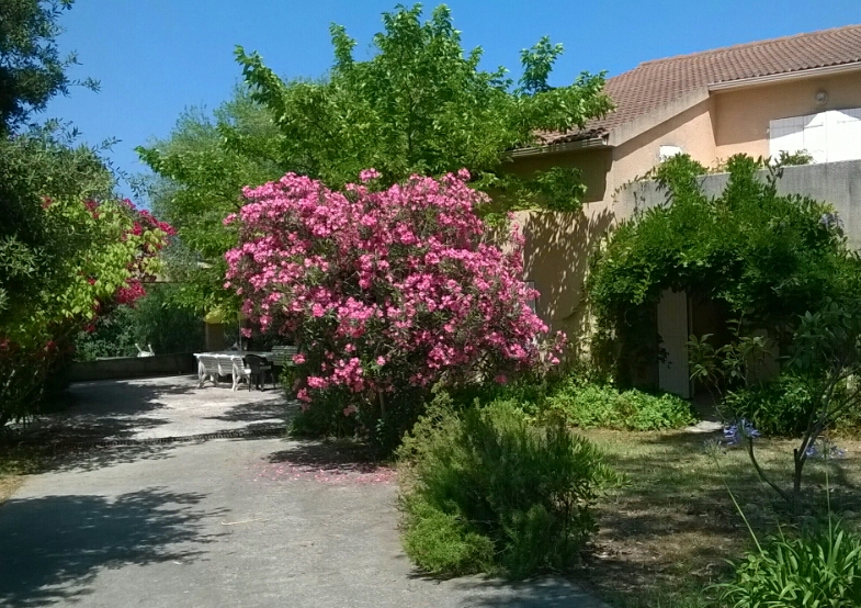 Photo de EHPAD Maris Stella, EHPAD à ST FLORENT