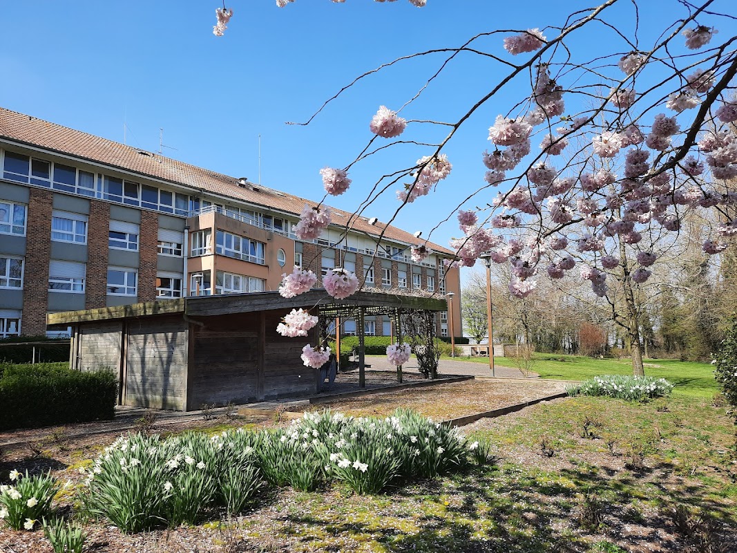 Photo de EHPAD Résidence Saint-Louis, EHPAD à BOLLEZEELE