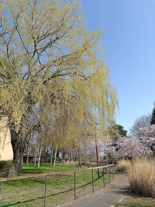 EHPAD Résidence Saint-Louis - Photo 5 sur 5 - Environnement et extérieurs