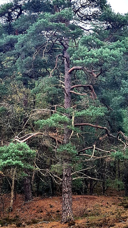 Accueil de Jour du CS du Bazois - Photo 2 sur 5 - Intérieur et espaces communs