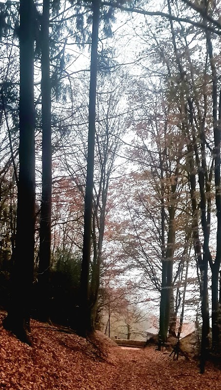 Accueil de Jour du CS du Bazois - Photo 5 sur 5 - Environnement et extérieurs