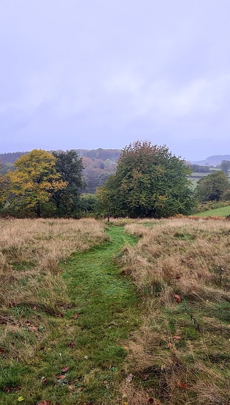 Accueil de Jour du CS du Bazois - Photo 3 sur 5 - Chambres et hébergement