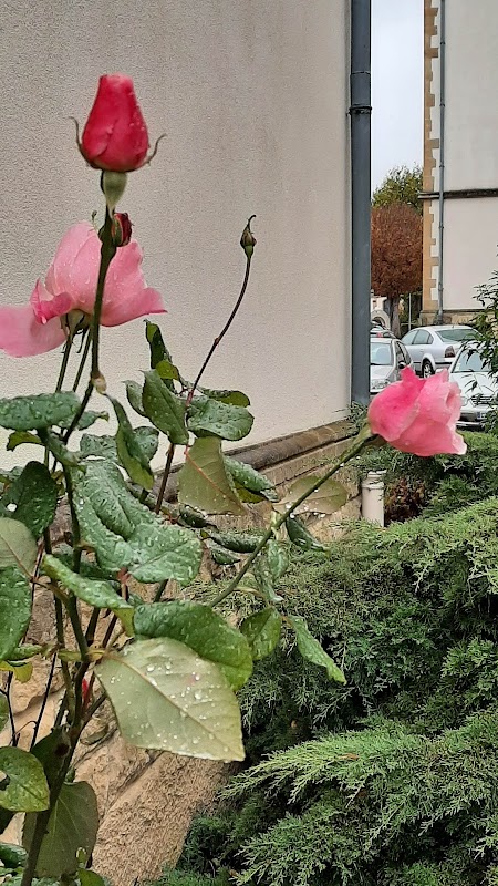 Photo de Résidence grandmaison, Résidence autonomie à METZ