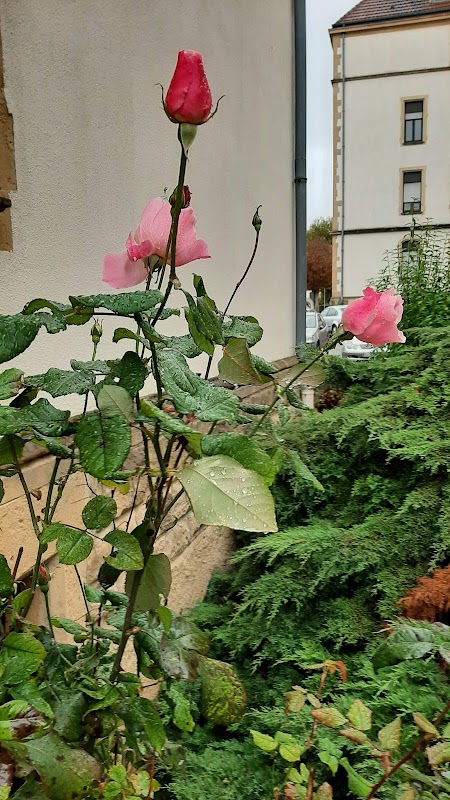 Résidence grandmaison - Photo 3 sur 3 - Chambres et hébergement