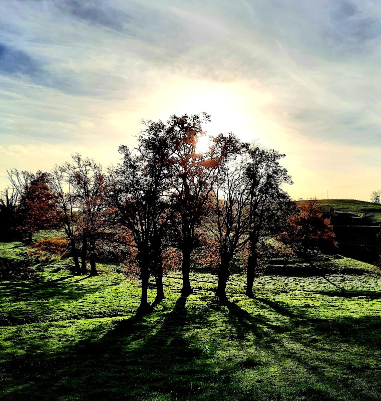 EHPAD Les Floralies - Photo 2 sur 4 - Intérieur et espaces communs