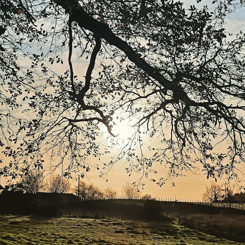 EHPAD Les Floralies - Photo 3 sur 4 - Chambres et hébergement