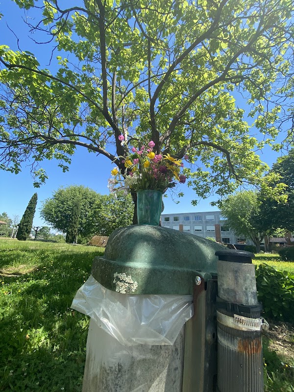 USLD L'Arrayade - Photo 5 sur 5 - Environnement et extérieurs