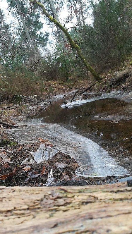 Résidence autonomie Les Sylves - Photo 3 sur 3 - Chambres et hébergement