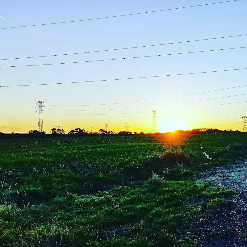 Résidence autonomie Mozart - Photo 3 sur 3 - Chambres et hébergement