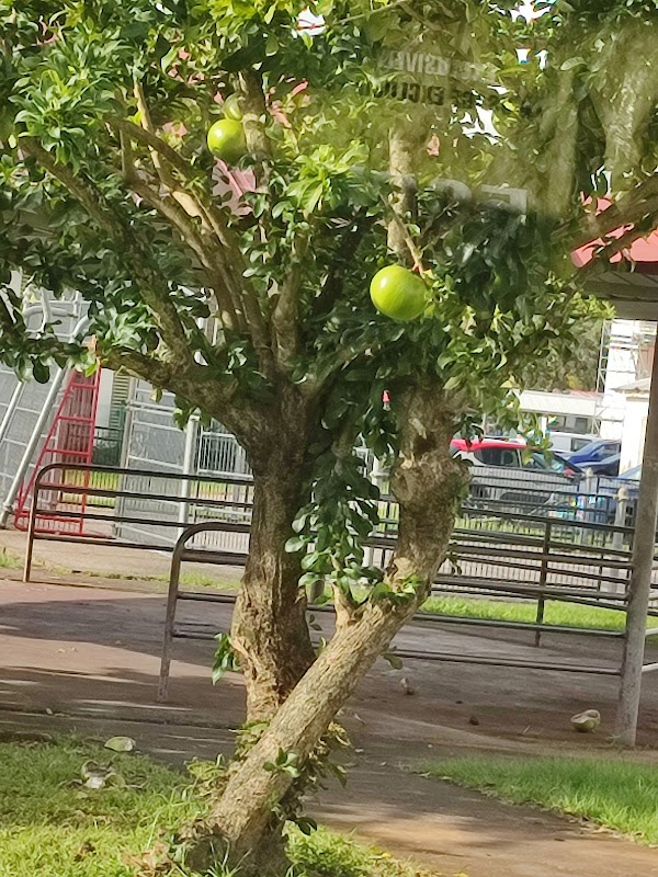 Foyer-Logement Résidence soleil des ames claires - Photo 2 sur 5 - Intérieur et espaces communs