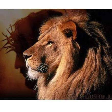 Foyer-Logement Résidence soleil des ames claires - Photo 3 sur 5 - Chambres et hébergement