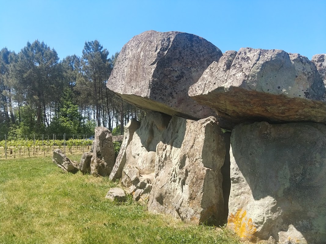 EHPAD de Montguyon - Photo 5 sur 5 - Environnement et extérieurs