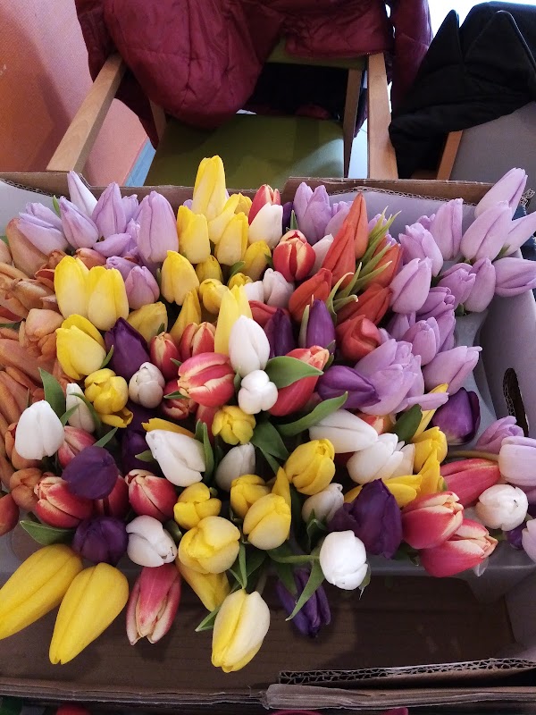 Accueil de jour Les Genêts d'Or - Photo 5 sur 5 - Environnement et extérieurs