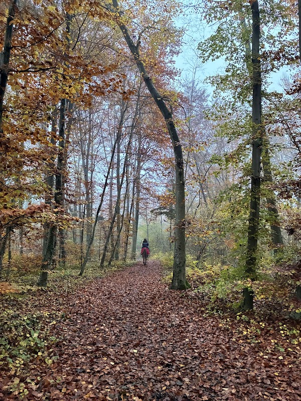 EHPAD Abrapa Stéphanie - Photo 3 sur 3 - Chambres et hébergement