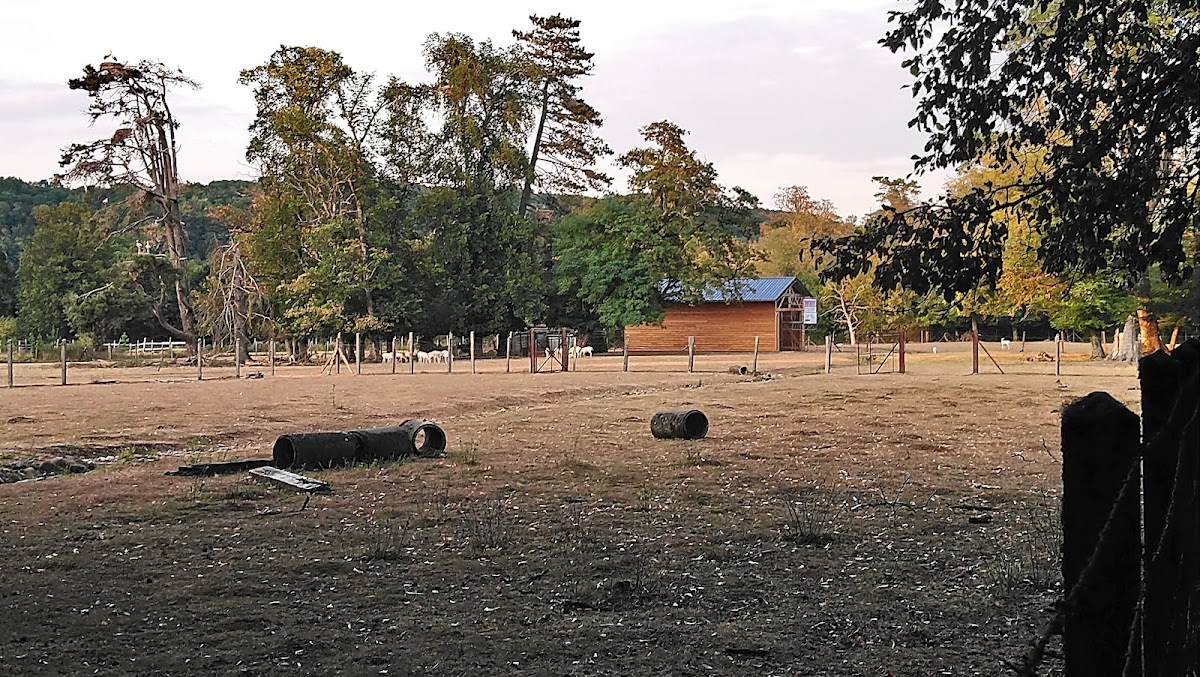 MARPA Maison d'accueil rurale pour personnes âgées Doller - Photo 4 sur 5 - Espaces de vie
