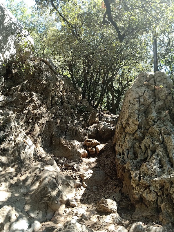 USLD Bellevue - Photo 4 sur 5 - Espaces de vie