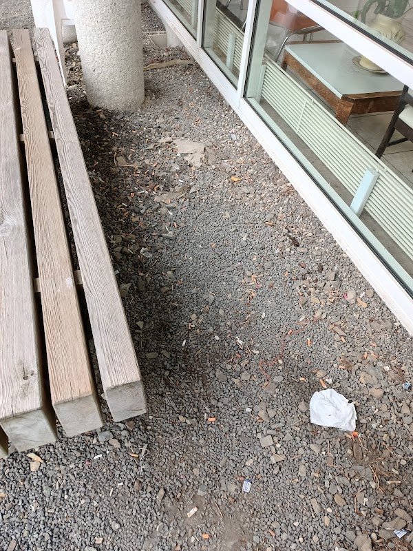 EHPAD Maubert - Photo 5 sur 5 - Environnement et extérieurs