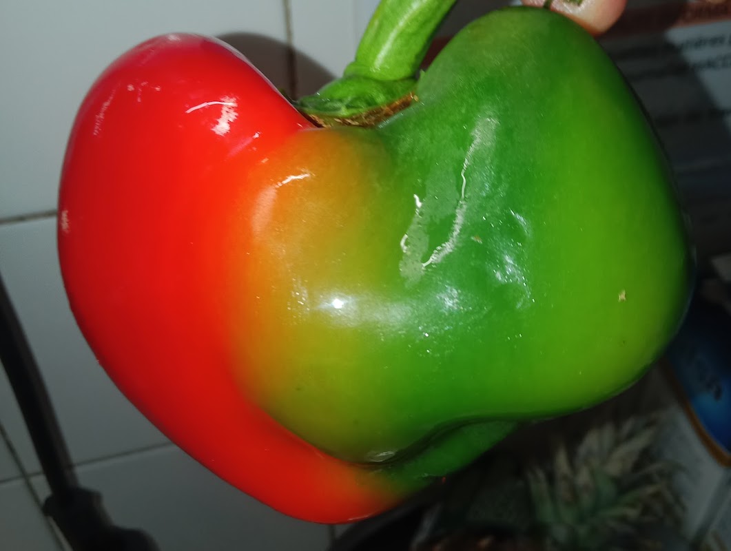 EHPAD Azuréva - Photo 3 sur 3 - Chambres et hébergement