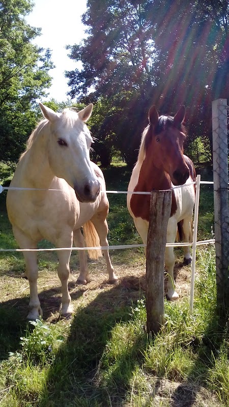 Accueil de jour Ancerville