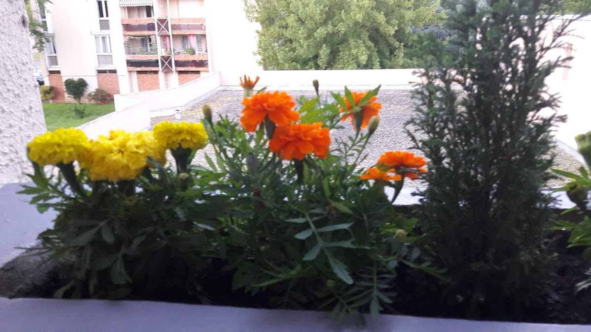 Résidence la salève - Photo 3 sur 5 - Chambres et hébergement