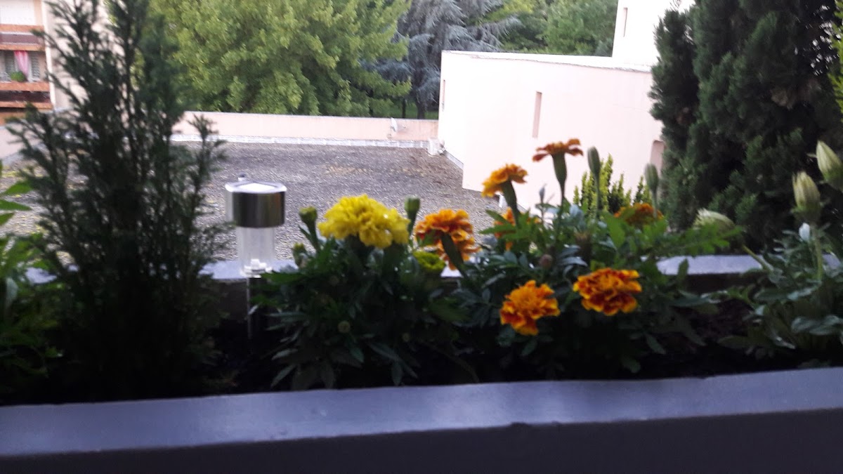 Résidence la salève - Photo 4 sur 5 - Espaces de vie