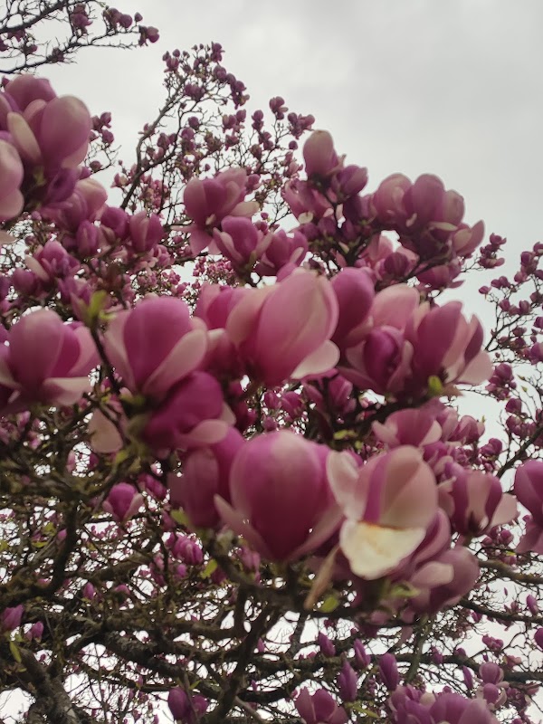 Maison de retraite Angelique Le Sourd - Photo 2 sur 4 - Intérieur et espaces communs