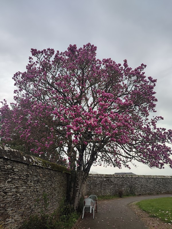 Photo de Maison de retraite Angelique Le Sourd, EHPAD à ST JACUT LES PINS