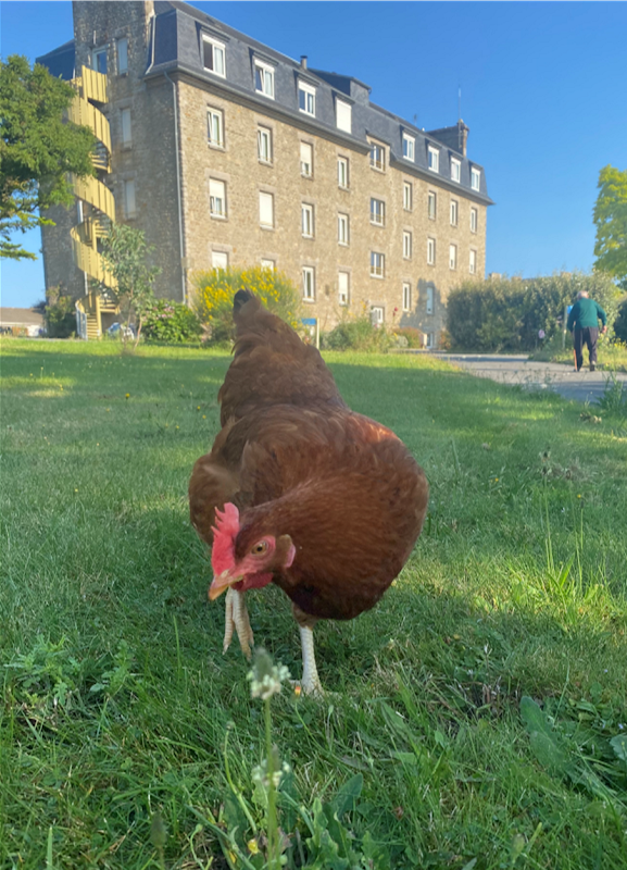 RESIDENCE LES DUNES - Photo 4 sur 5 - Espaces de vie