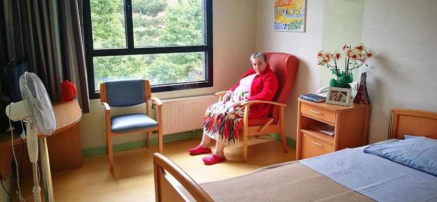 La Maison du Laurier Noble - Photo 5 sur 5 - Environnement et extérieurs