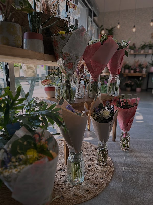 EHPAD Les roses d'or - la roseraie - Photo 4 sur 5 - Espaces de vie