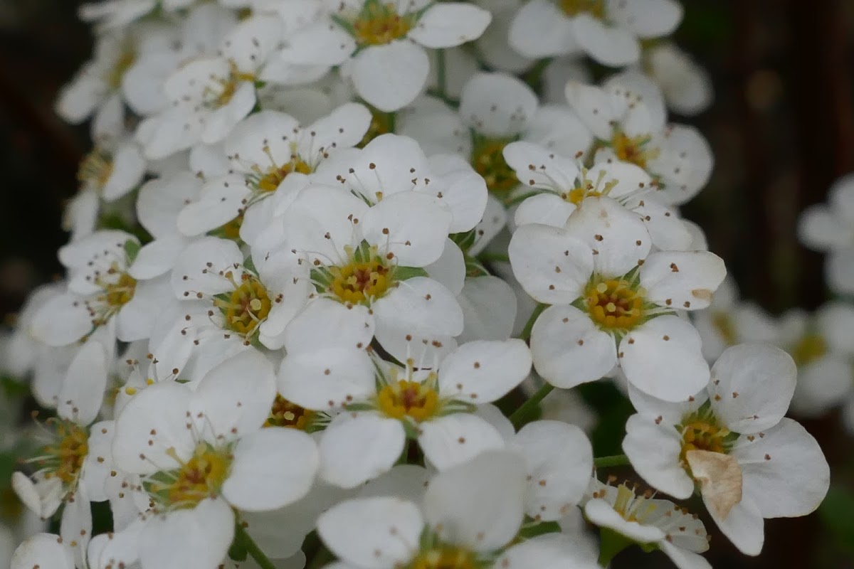 Résidence Abrapa Les Halles - Photo 2 sur 2 - Intérieur et espaces communs