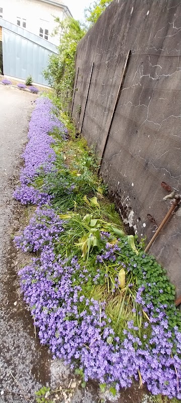 EHPAD Saint-Ferjeux - Photo 3 sur 3 - Chambres et hébergement