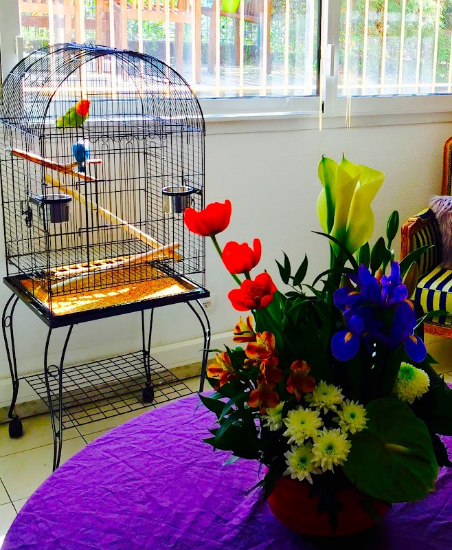 EHPAD Résidence Cantazur - Photo 3 sur 5 - Chambres et hébergement