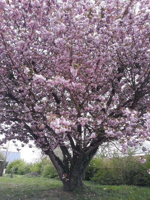 EHPAD Les Couleurs du temps - Photo 2 sur 3 - Intérieur et espaces communs
