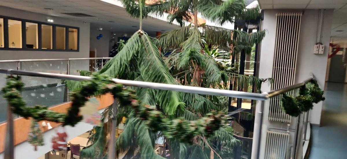 USLD du Centre hospitalier du Pays de Gex - Photo 5 sur 5 - Environnement et extérieurs