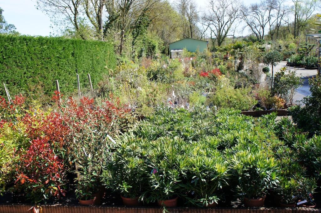 EHPAD La pépinière - Photo 4 sur 5 - Espaces de vie