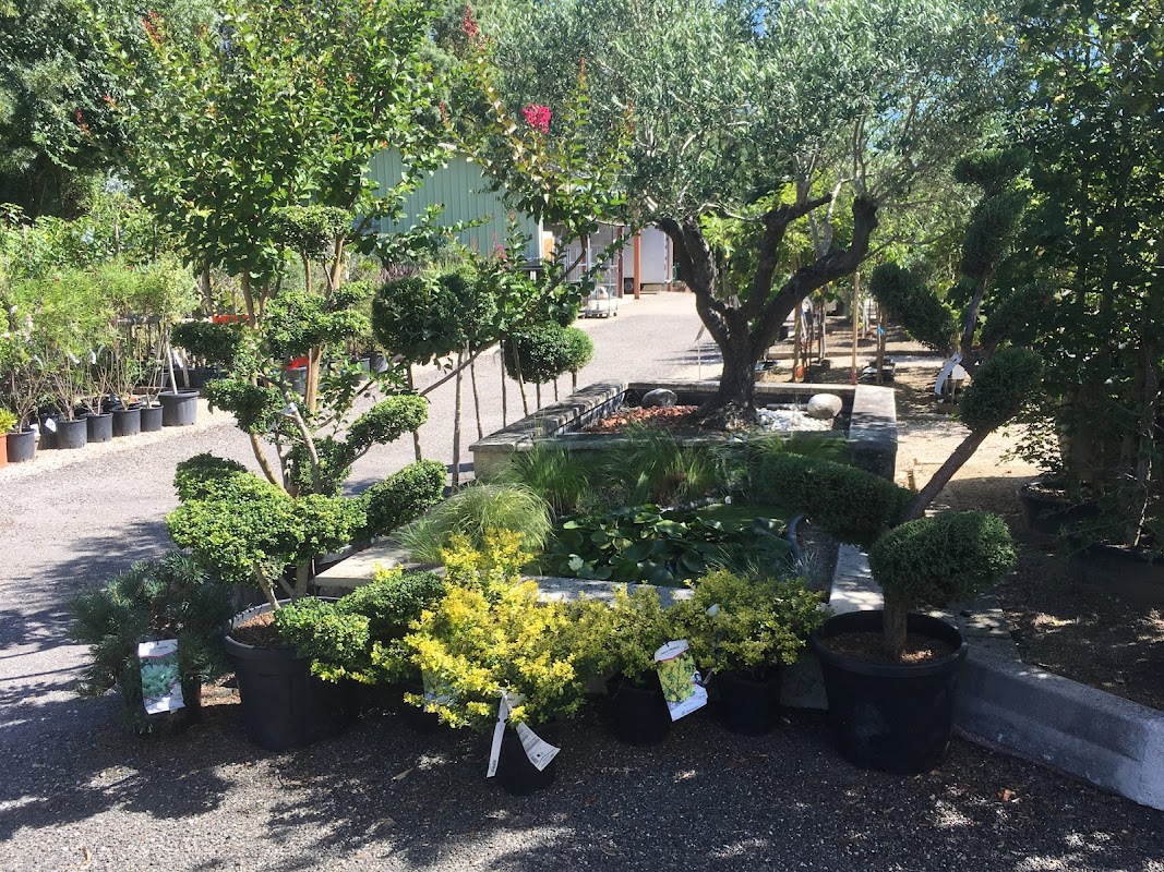 EHPAD La pépinière - Photo 5 sur 5 - Environnement et extérieurs