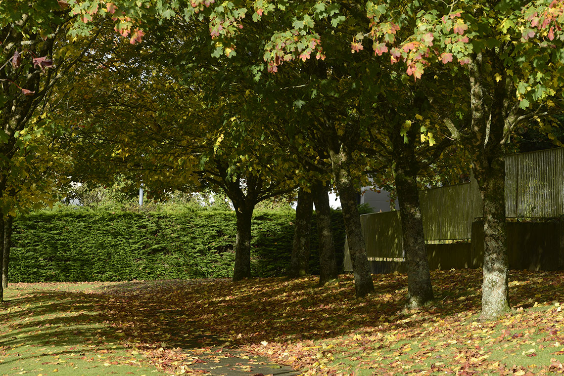 Centre René Fortin - Centre de long séjour du Centre hospita - Photo 5 sur 5 - Environnement et extérieurs