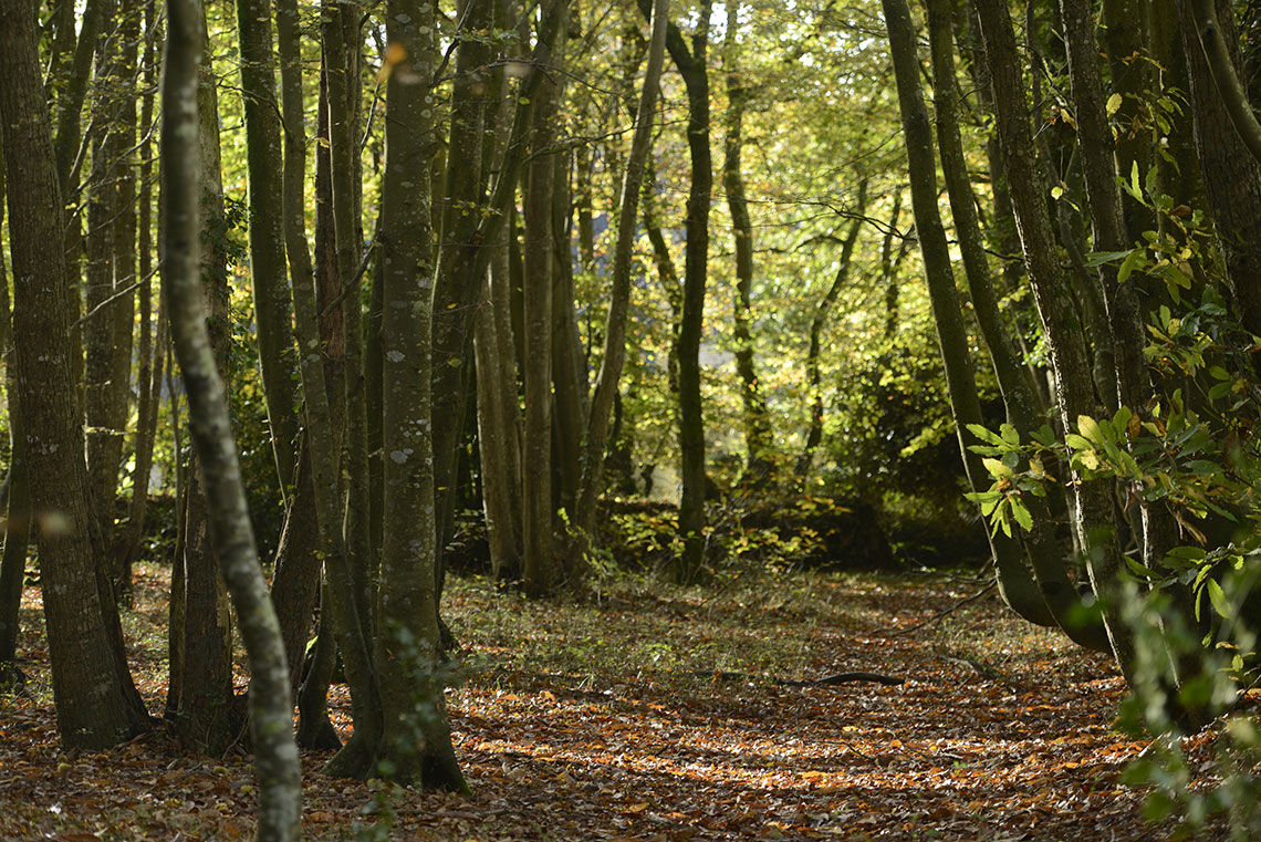 Centre René Fortin - Centre de long séjour du Centre hospita - Photo 4 sur 5 - Espaces de vie