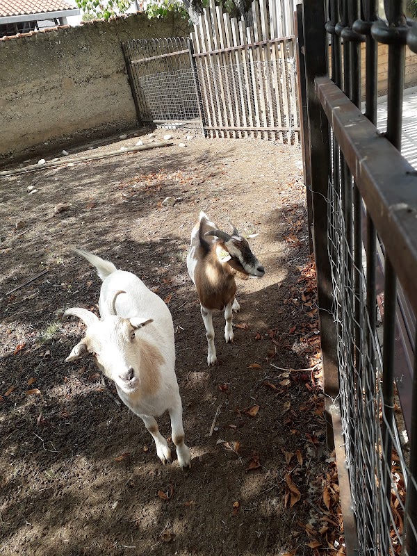 RESIDENCE TEMPORAIRE CHARMANON - Photo 2 sur 5 - Intérieur et espaces communs