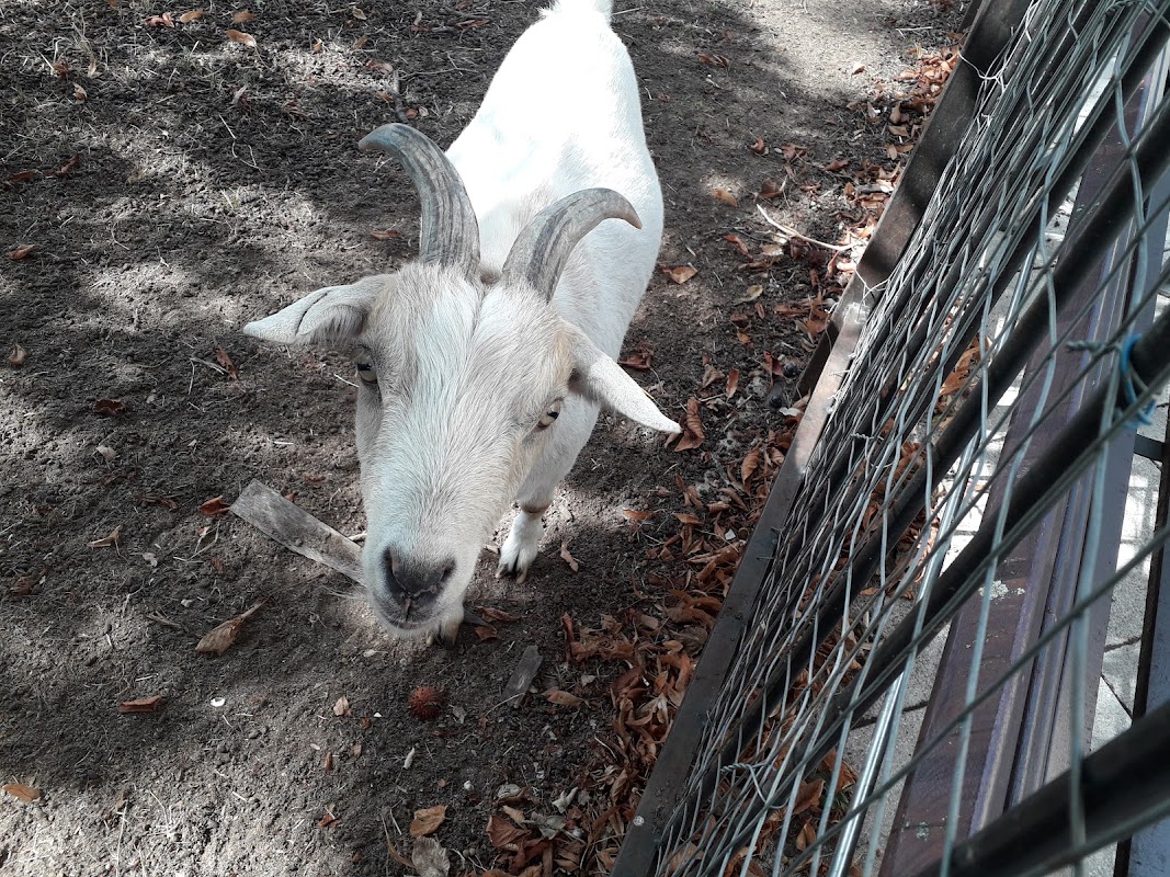 RESIDENCE TEMPORAIRE CHARMANON - Photo 5 sur 5 - Environnement et extérieurs
